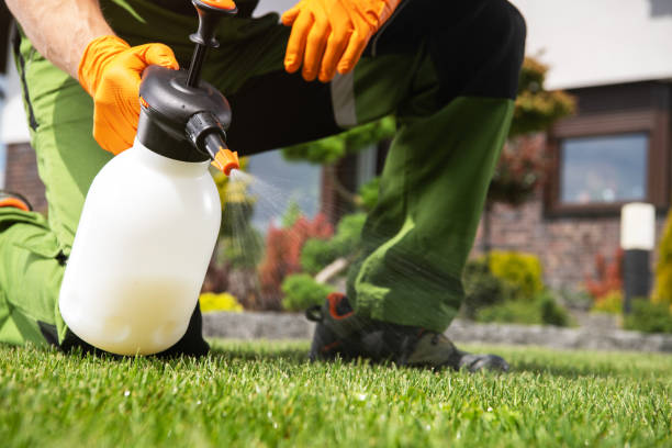 Best Mosquito Control Services  in Defuniak Springs, FL